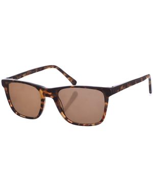 Zen Rectangular Shaped Acetate Sunglasses Z445 - Brown