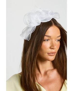 Boohoo Loop & Feather Headband Hair Fascinator - Brown