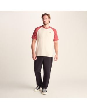 TOG24 Mcgill 100% Cotton Supersoft T-Shirt - Orange