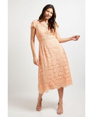 Wallis Lace Fit And Flare Midi Dress - Orange