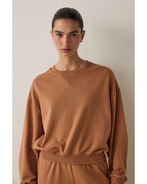 Penti Oversized Short Crew-Neck Sweatshirt - Brown