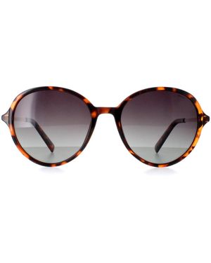INVU Round Demi Tortoise Polarized B2135 Metal - Brown