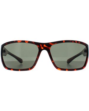 Smarty Wrap Demi Tortoise X2135 - Brown