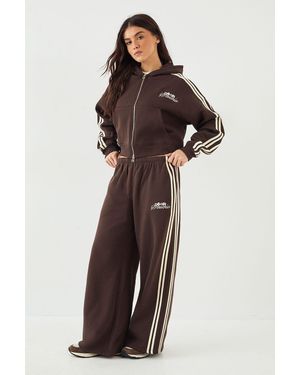 DSGN Studio Side Stripe Straight Leg Jogger - Brown