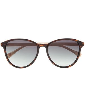 Ted Baker Tierney Sunglasses - Brown