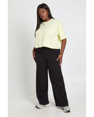 Boohoo Plus Basic Rib Straight Leg Trouser - White