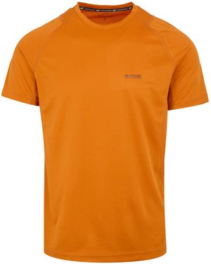 Regatta Virda Iv T-Shirt (Fox) - Orange