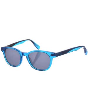 Zen Z435 Pantos Shape Acetate Sunglasses - Blue