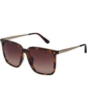 Michael Kors Snake Mk2221U Sunglasses - Brown