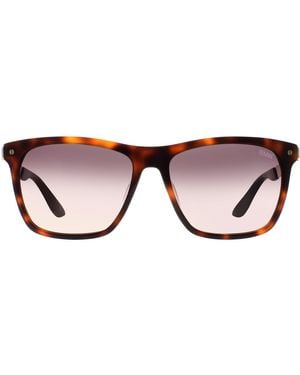 BMW Square Blonde Havana Smoke Gradient Bw0002-H Sunglasses - Brown