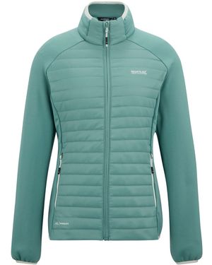 Regatta Ladies Clumber Hybrid Jacket (Ivy Moss) - Green