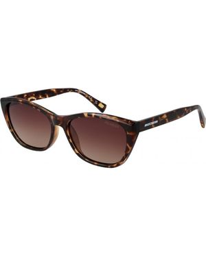 Skechers Se6218 5556H 55 56H Sunglasses - Brown