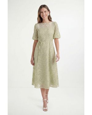 Wallis Petite Burn Out Floral Organza Midi Dress - Green