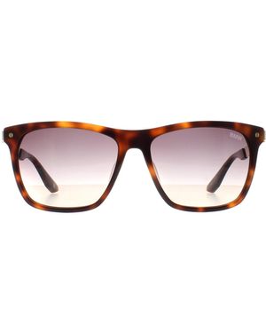 BMW Square Blonde Havana Smoke Gradient Bw0002-H Sunglasses - Brown