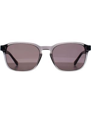 Ted Baker Square Smoke Tb8246 Ollie - Brown