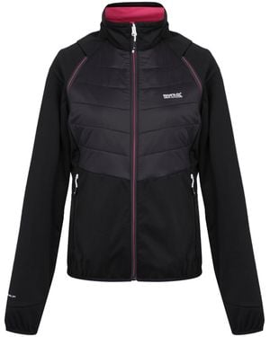 Regatta Ladies Steren Ii Hybrid Jacket /Flamingo) - Black