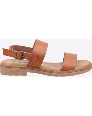 Divaz Mia - Brown