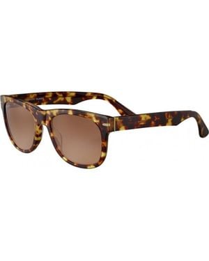 Serengeti Ss550002 57 Foyt Sunglasses - Brown