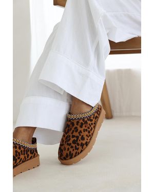 Where's That From Wheres 'Ivana' Cosy Faux-Suede Fur Lining Low Ankle Boot - White