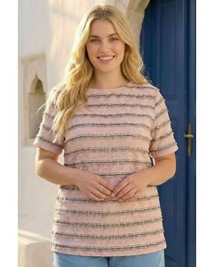 Roman Curve Stripe Frill Lace Top - Brown