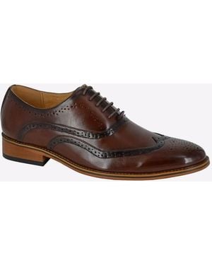 Goor Jurupa Brogues - Brown