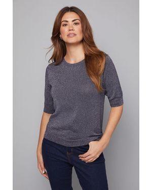 Wallis Shimmer Short Sleeve Jumper - Grey