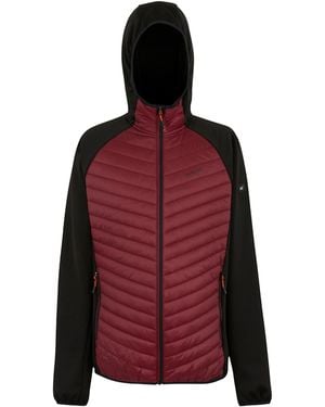 Regatta Andreson Hybrid Jacket (Dark/ - Red