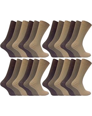Sock Snob 24 Pairs Multipack Ultimate Comfort 100% Cotton Socks - Brown
