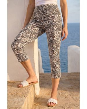 Roman Printed Bengaline Cropped Trouser - Blue