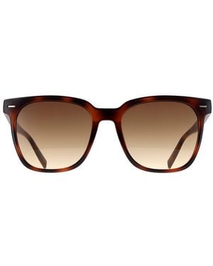 Calvin Klein Square Havana Gradient Ck20519Sn - Brown