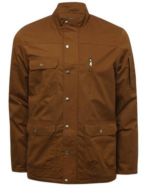 Secret Label Four Pocket Padded Field Jacket - Brown