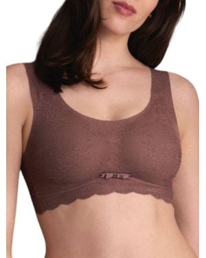 Anita Essential Lace Bralette - Brown