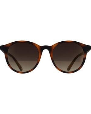 Ted Baker Round Tortoiseshell Gradient Tb1503 Odell - Brown