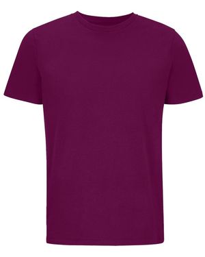 Sol's Volwassen Legend Organic T-shirt (astraal Paars)