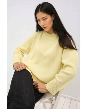 Hiccup Crew Neck Cosy Jumper - Yellow