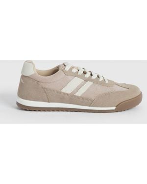 Oasis Penny Faux Suede Lace Up Trainers - Natural