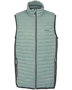 Regatta Andreson Hybrid Padded Jacket (Glacier/Ash) - Green