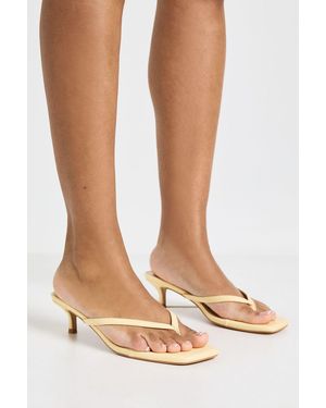 Boohoo Toe Post Kitten Heel Mules - Yellow
