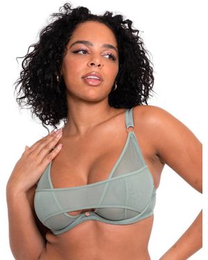 Curvy Kate Peep Show Plunge Bra - Blue