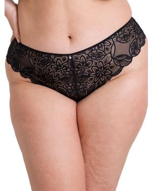 Curvy Kate Lovelace Brazilian - Black