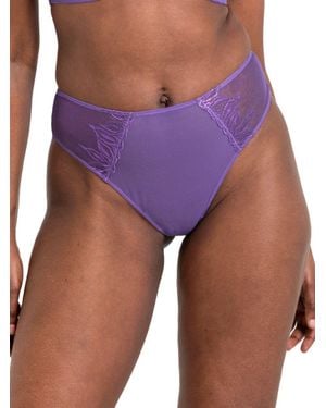 Curvy Kate Flare Deep Thong - Purple