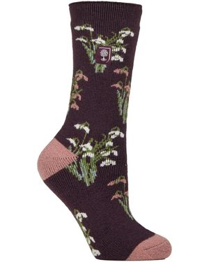 Heat Holders Thermal Socks - Brown