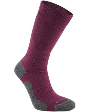 Craghoppers Trek Socks - Purple