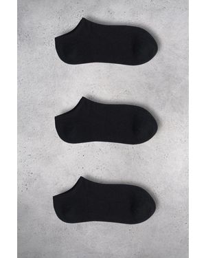 Grimelange 3-Pack Thin Knitted Crew Socks - Black
