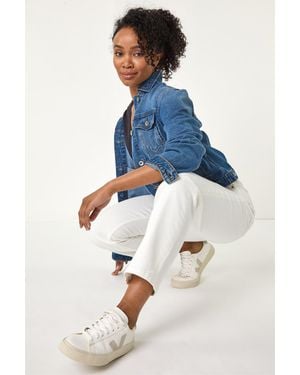 Roman Petite Stretch Straight Leg Jeans - Blue