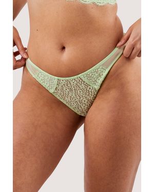 Deja Day Laura Brief - Green