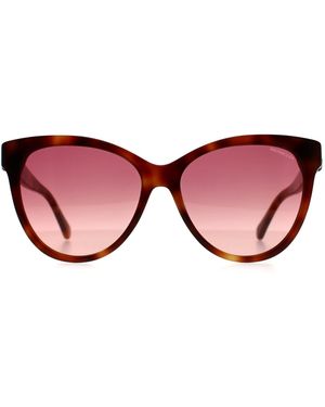 Moncler Cat Eye Havana Bordeaux Gradient Ml0283 - Red