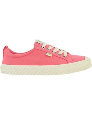 CARIUMA Oca Plimsolls Canvas - Pink