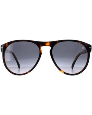 David Beckham Round Dark Tortoise Gradient Db1008/S - Black