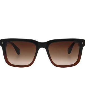 Ted Baker Rowen Sunglasses - Brown